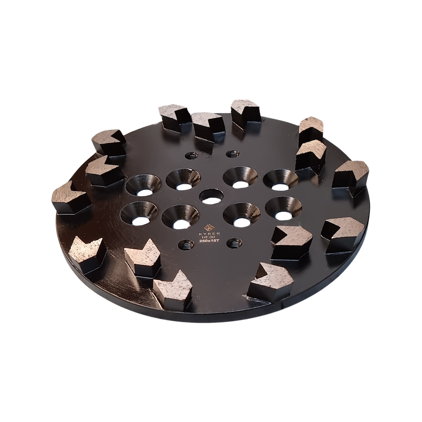 Arrow Plate 15 Segments 250mm (10 inch) 30 Grit