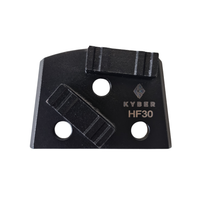 Lavina Double W Segments 30 Grit