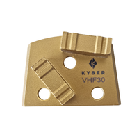 Lavina Double W Segments 30 Grit